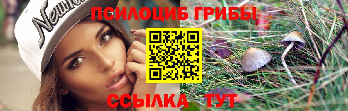 Псилоцибиновые грибы MAGIC MUSHROOMS  Вход с VPN  Москва 